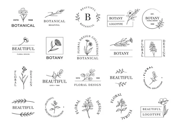 Botanical emblem. Minimalistic abstract logo with plant branches and flowers. Beautiful botany. Blossoms or leaves. Calligraphic icons. Blooming herbs. Vector floral rustic symbols set Stock Illustration