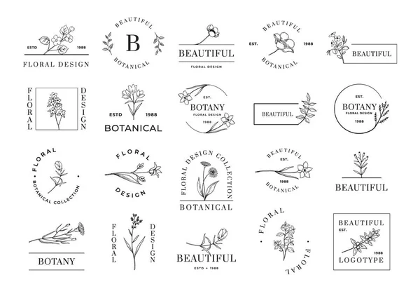 Logo floreale. Emblemi botanici minimalisti per inviti a nozze di bellezza cosmetica e negozio biologico. Fiori e ramoscelli di piante. Letteratura e confini. Set di icone botaniche calligrafiche vettoriali — Vettoriale Stock