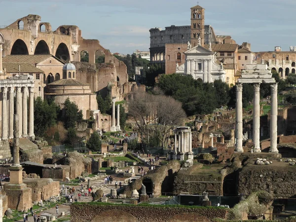 Foro Romano и Колизей на заднем плане — стоковое фото