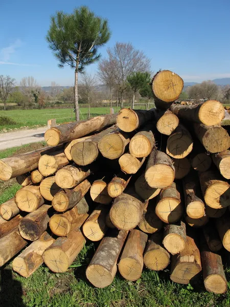 Timber — Stock Photo, Image