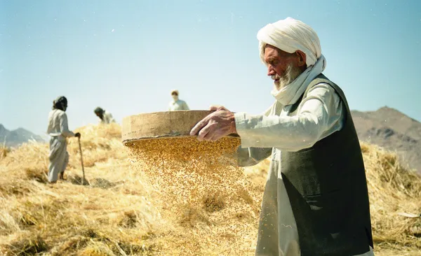 Afghaanse boer — Stockfoto