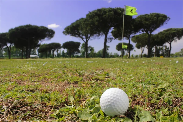 Golf putter and ball — Stock Photo, Image