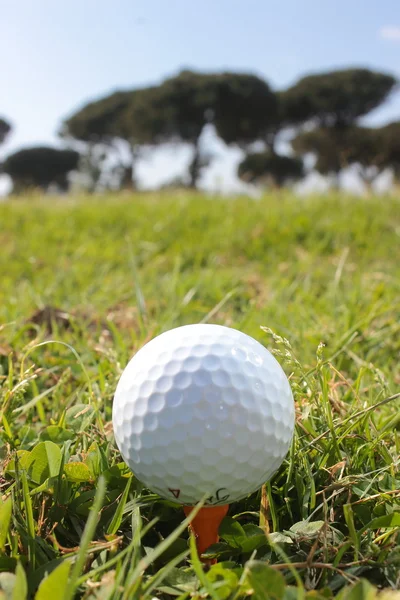 ゴルフのパターとボール — ストック写真