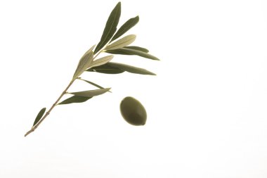 oives ve yaprakları dekorasyon