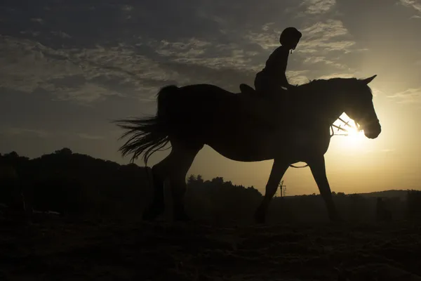 Equitazione — Foto Stock