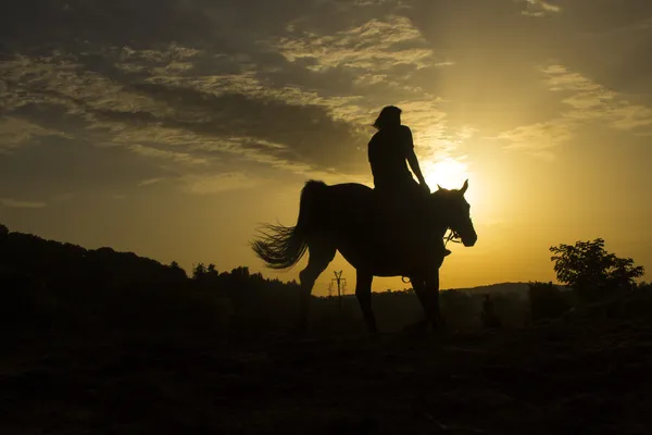 Equitazione — Foto Stock