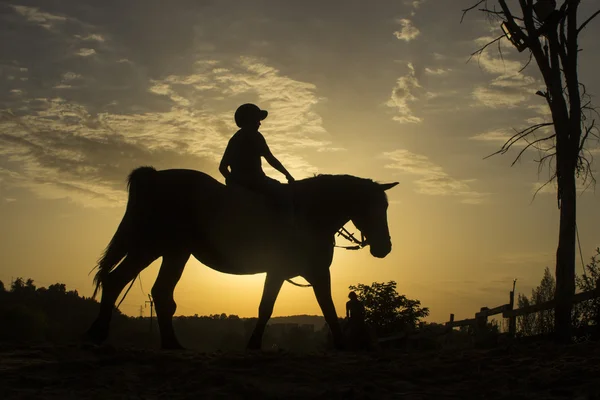 Equitazione — Foto Stock