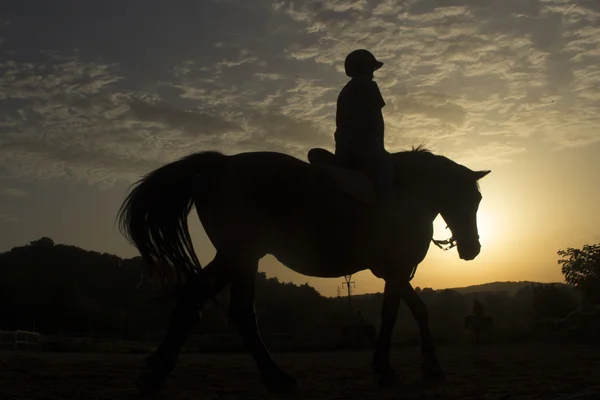 Equitazione — Foto Stock