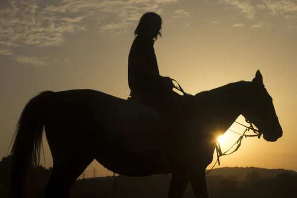 Horse riding — Stock Photo, Image