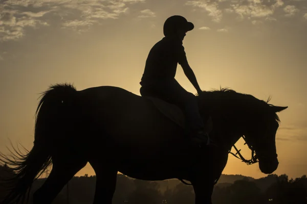 Equitazione — Foto Stock