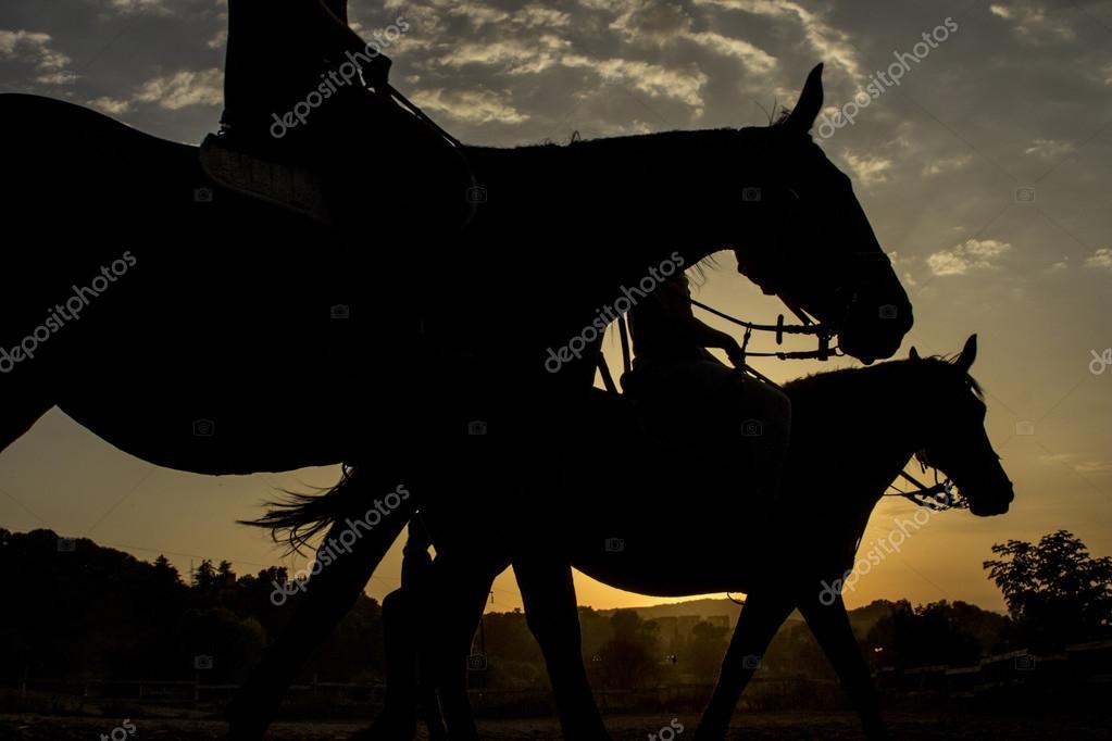 Horse riding silhouette