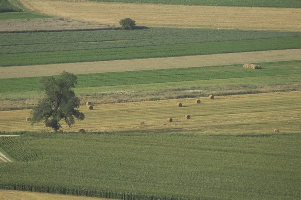 Dolinę Tybru, w pobliżu Rzymu — Zdjęcie stockowe