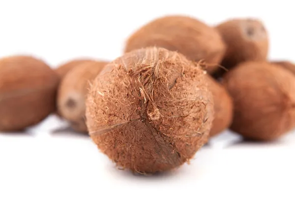 Kokosové ořechy na bílé — Stock fotografie