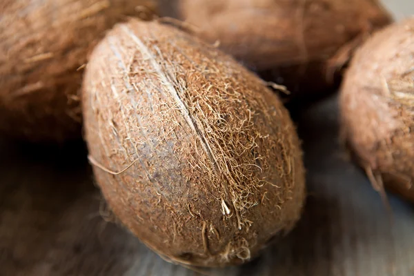 Verschillende kokosnoten — Stockfoto