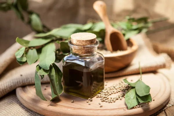 Hanföl mit Samen — Stockfoto