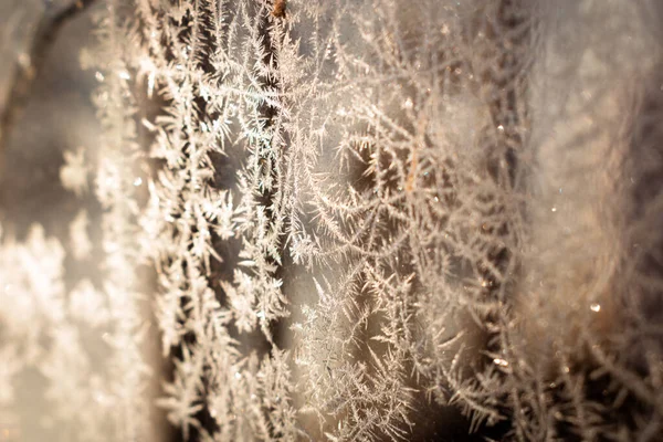 寒冷的冬日清晨 玻璃上的冰花 背景图 复制空间 — 图库照片