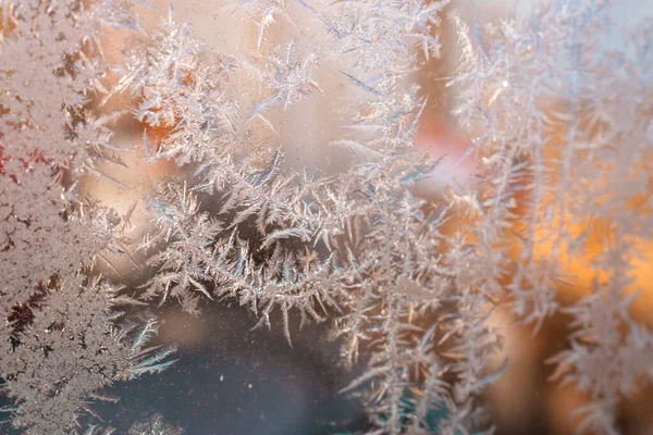 Invierno Frío Flores Hielo Mañana Vidrio Fondo Con Espacio Copia — Foto de Stock