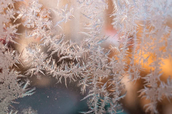 Cold Winter Morning Ice Flowers Glass Background Copy Space — Stock Photo, Image