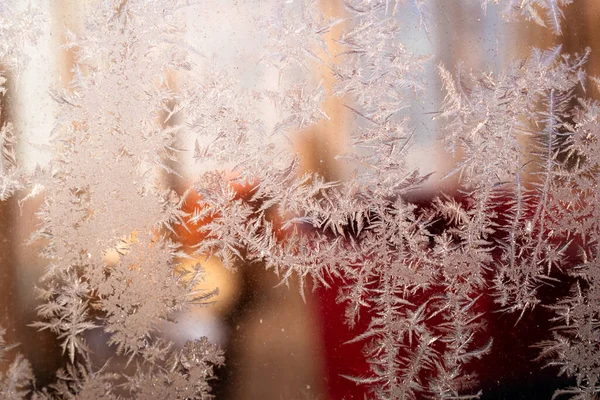 Холодный Зимний Утром Ледяные Цветы Стекле Фон Копировальным Местом — стоковое фото