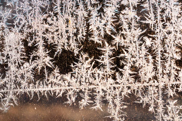 Κρύο Χειμώνα Πρωί Πάγο Λουλούδια Στο Γυαλί Φόντο Αντίγραφο Χώρο — Φωτογραφία Αρχείου