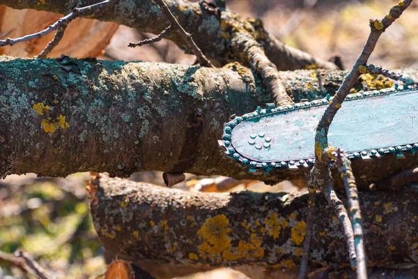 Close-up of used chainsaw chains with copy space