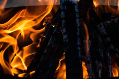 Yaz zamanı aktivitesi, açık havada yanan küçük şenlik ateşi, yakın çekim