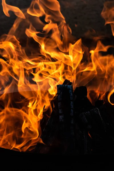 Yaz zamanı aktivitesi, açık havada yanan küçük şenlik ateşi, yakın çekim