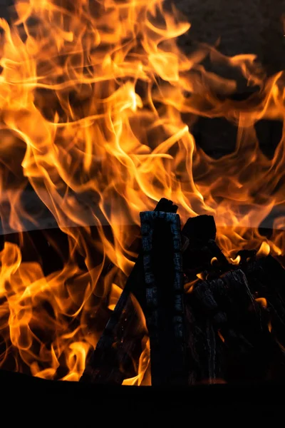 Yaz zamanı aktivitesi, açık havada yanan küçük şenlik ateşi, yakın çekim