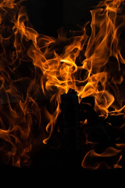 Yaz zamanı aktivitesi, açık havada yanan küçük şenlik ateşi, yakın çekim