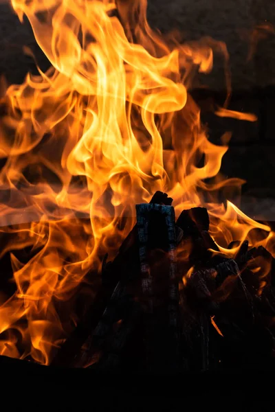 Yaz zamanı aktivitesi, açık havada yanan küçük şenlik ateşi, yakın çekim