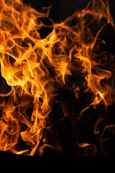 Yaz zamanı aktivitesi, açık havada yanan küçük şenlik ateşi, yakın çekim