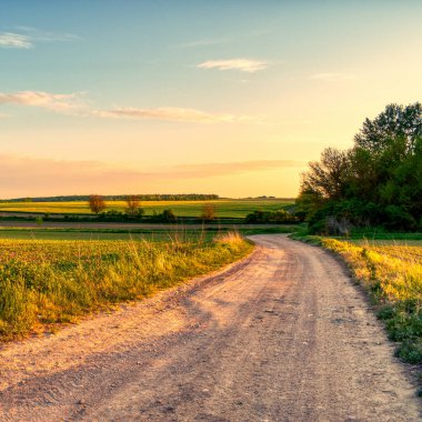 İlkbaharda kırsal alanda toprak yol ve tarlalar, gün batımı manzarası