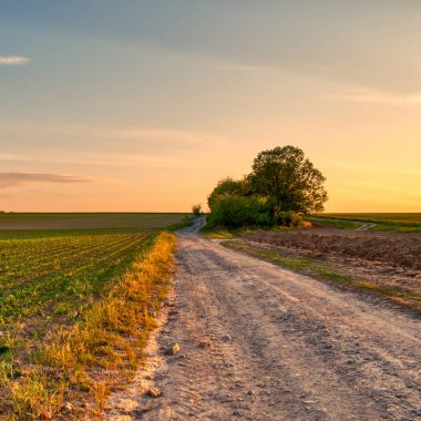 İlkbaharda kırsal alanda toprak yol ve tarlalar, gün batımı manzarası