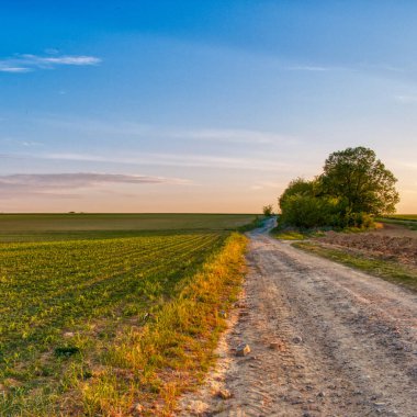 İlkbaharda kırsal alanda toprak yol ve tarlalar, gün batımı manzarası