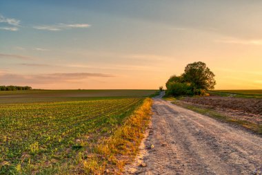İlkbaharda kırsal alanda toprak yol ve tarlalar, gün batımı manzarası