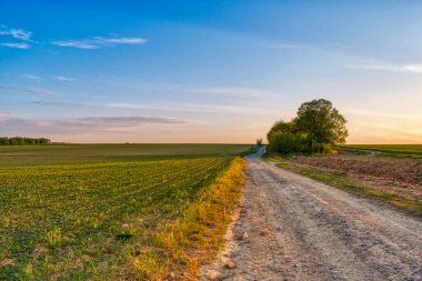 İlkbaharda kırsal alanda toprak yol ve tarlalar, gün batımı manzarası