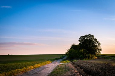İlkbaharda kırsal alanda toprak yol ve tarlalar, gün batımı manzarası