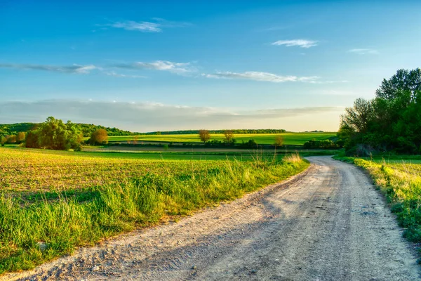 İlkbaharda kırsal alanda toprak yol ve tarlalar, gün batımı manzarası