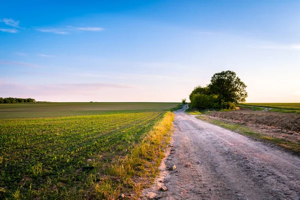 İlkbaharda kırsal alanda toprak yol ve tarlalar, gün batımı manzarası