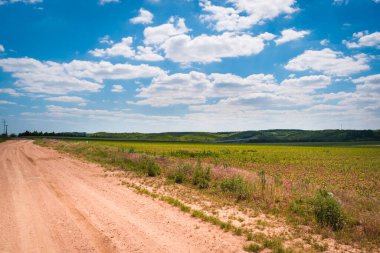 Macaristan kırsalındaki tarım arazilerinin yaz mevsimi manzarası, Avrupa