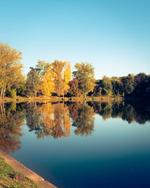 Pecs, Macaristan, Avrupa yakınlarındaki güzel bir gölün sularına yansıyan düşen ağaçların ideolojik manzarası