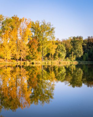 Pecs, Macaristan, Avrupa yakınlarındaki güzel bir gölün sularına yansıyan düşen ağaçların ideolojik manzarası