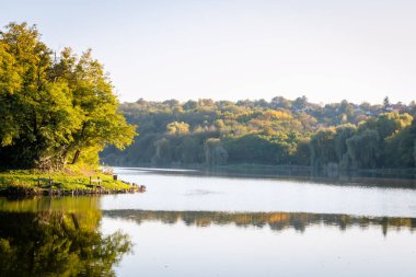 Pecs, Macaristan, Avrupa yakınlarındaki güzel bir gölün sularına yansıyan düşen ağaçların ideolojik manzarası
