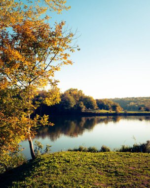 Pecs, Macaristan, Avrupa yakınlarındaki güzel bir gölün sularına yansıyan düşen ağaçların ideolojik manzarası