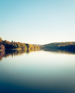 Pecs, Macaristan, Avrupa yakınlarındaki güzel bir gölün sularına yansıyan düşen ağaçların ideolojik manzarası