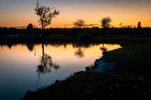Reflexão Uma Árvore Lagoa Torno Crepúsculo Tuskesret Pecs Hungria — Fotografia de Stock