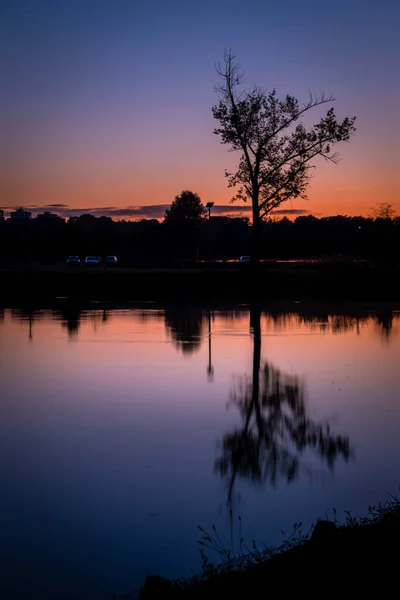 A tree\'s reflection in the pond around twilight at Tuskesret, Pecs, Hungary