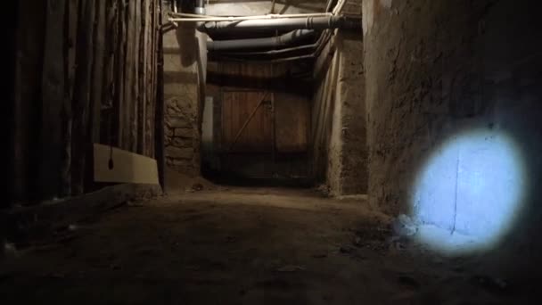 黑暗的地下室的锁着的门在老地牢里迷了路藏在防空洞里在地下墓穴里游荡一个危险 可怕的衣柜 在两边亮一盏手电筒 — 图库视频影像