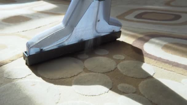 用吸尘器清洁地毯 真空清洁剂在地毯上涂有清洁剂的水 打扫一下房子 智能家用电气设备 清洁服务 — 图库视频影像