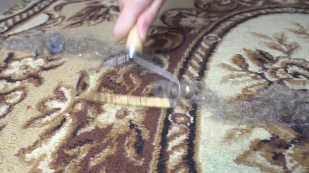 Limpe Tapete Cabelo Uma Ferramenta Especial Limpeza Tapetes Lixo Chão — Vídeo de Stock